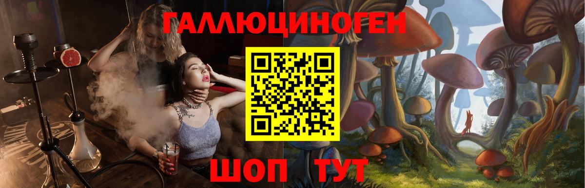 Азов  Галлюциногенные грибы прущие грибы  Вход с VPN  Псилоцибиновые грибы GOLDEN TEACHER 